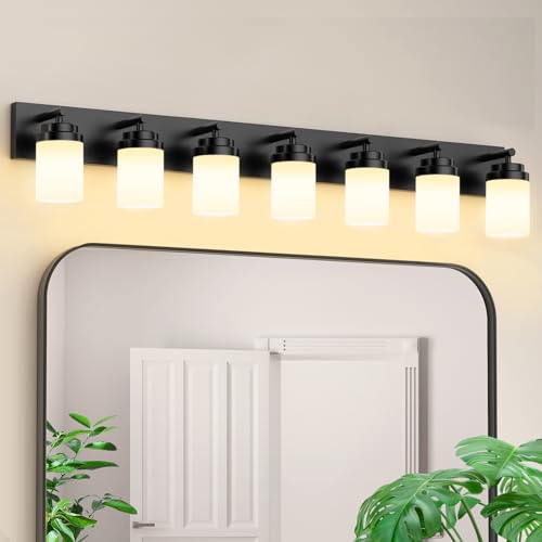 Bathroom Vanity Light Fixture