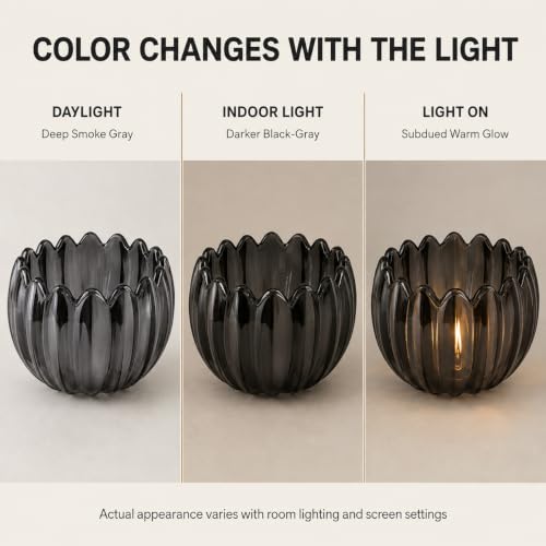 Dark Grey Tulip Glass Lamp Shades Set of 2 (2 Count)