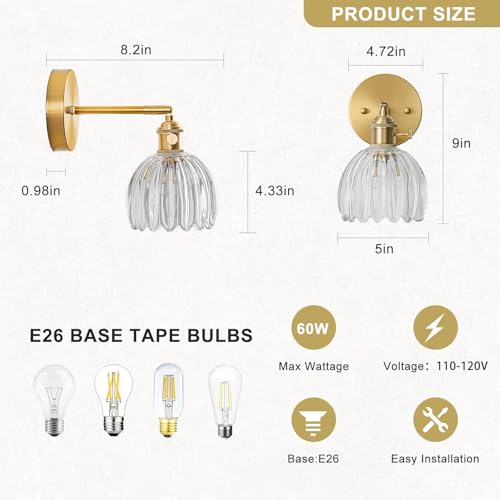 Hardwired Wall Sconce Light
