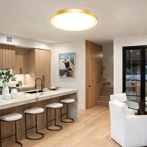 LED Flush Mount Ceiling Light Fixture