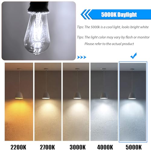 Dimmable LED Edison Bulb 40W Equivalent (12 Count)