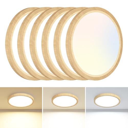6PACK Flush Mount Ceiling Light Fixtures (6 Count)