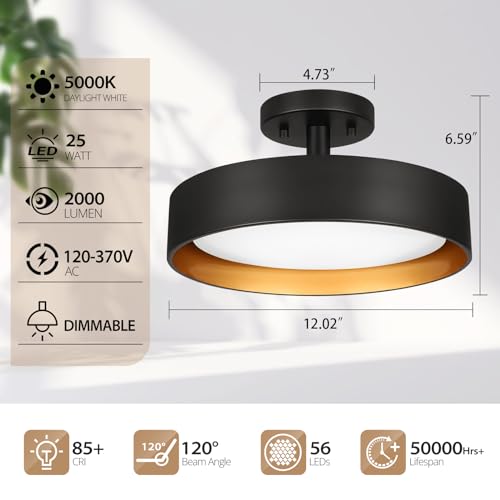 Semi Flush Mount LED Ceiling Light 5000K