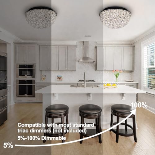 12'' Modern LED Ceiling Light