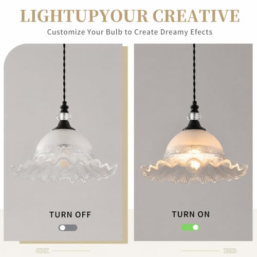 1 Pack Vintage Matte Black Crystal Transparent Glass Pendant Light Fixtures (Black / 1-Light)