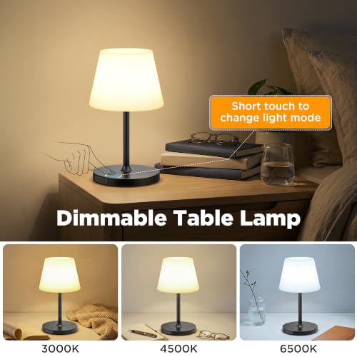 2 Pack Shower Lamp Waterproof (2 Count)