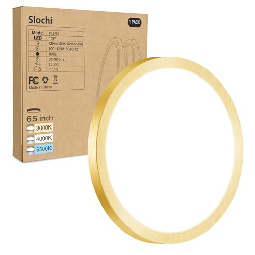 1PACK LED Flush Mount Ceiling Light Fixture
