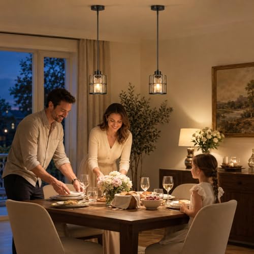 Black Pendant Lights Kitchen Island (2 Count)