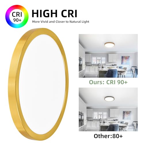 12 Inch Selectable CCT LED Round Flat Panel Light