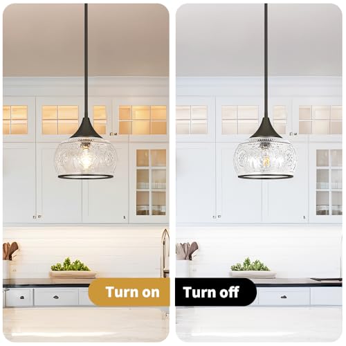 Black Pendant Light