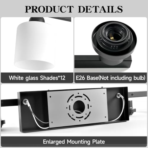 12 Light Black Vanity Lights for Giant Mirror
