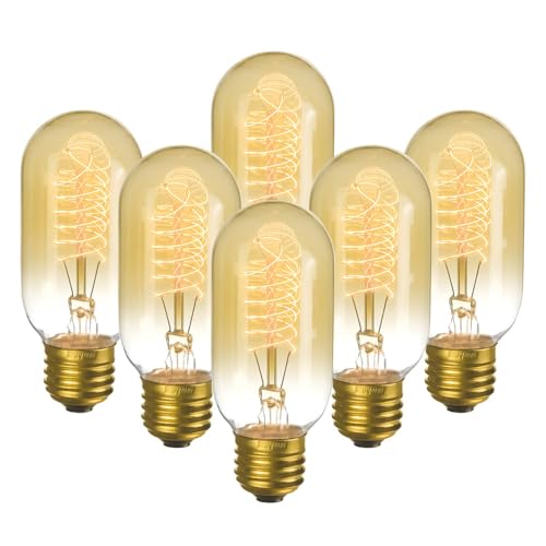 6 Pack Edison Light Bulbs 40 Watt Dimmable T45 Vintage Warm Bulbs (6 Count)