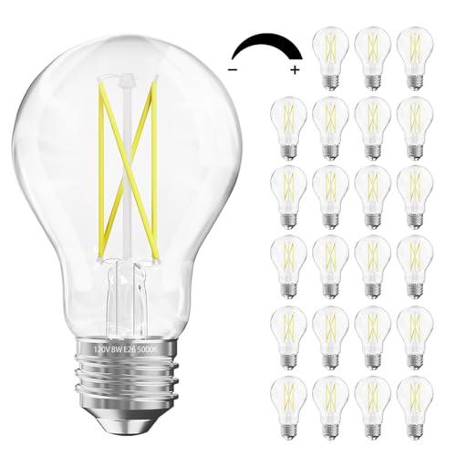 24 Pack A19 Vintage LED Edison Bulbs (24 Count)