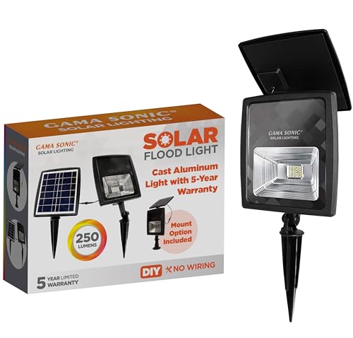 Dual Color Solar Flood Light