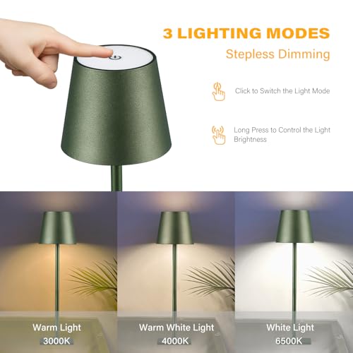 2 Pack Cordless Table Lamps