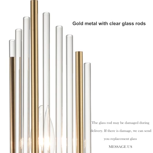 2 Light Modern Brushed Titanium Gold Wall Sconce with Clear Glass (2 Count)