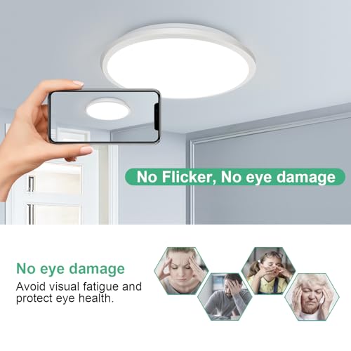2 Pack 12 Inch Ceiling Light (2 Count)