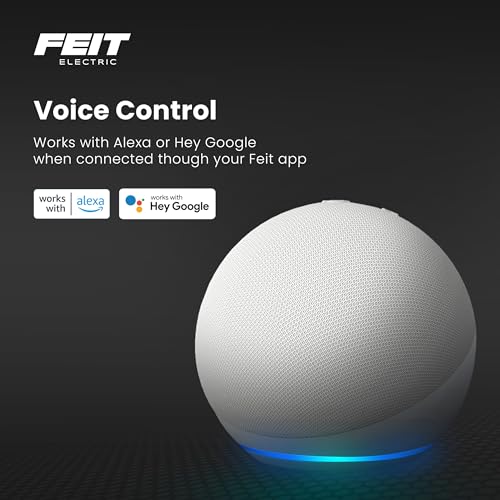 BR30 Smart Flood Light Bulb