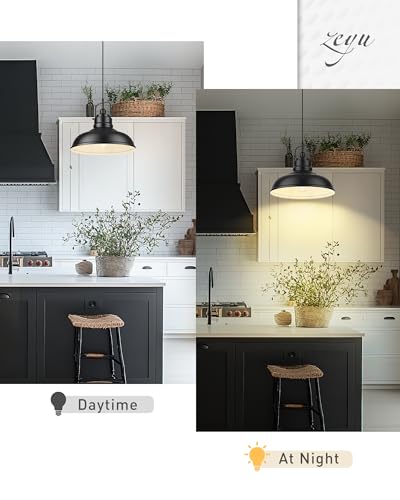 Black Pendant Lighting