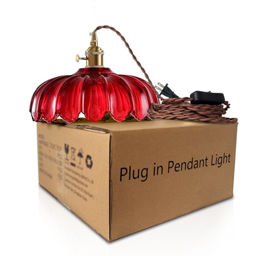 Plug in Pendant Light
