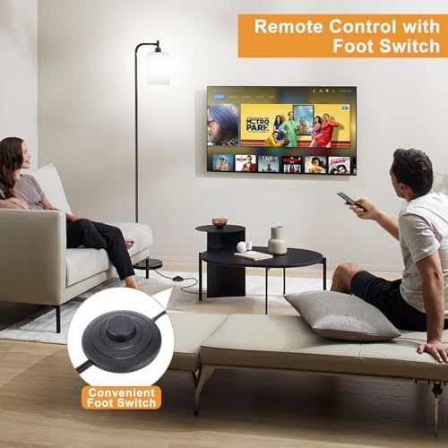 Floor Lamps for Living Room