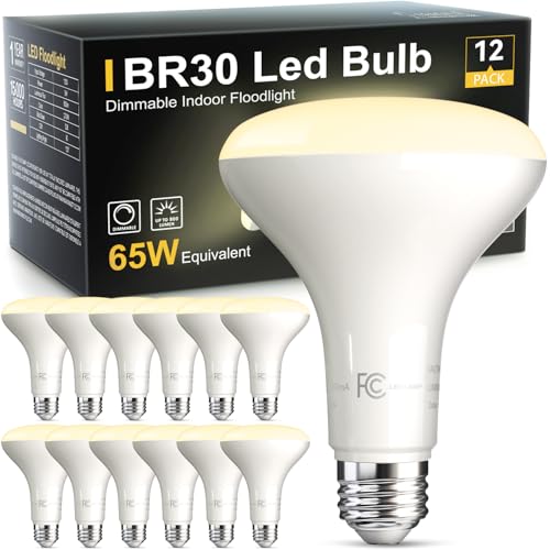12 Pack BR30 Flood Light Bulb Indoor (12 Count)