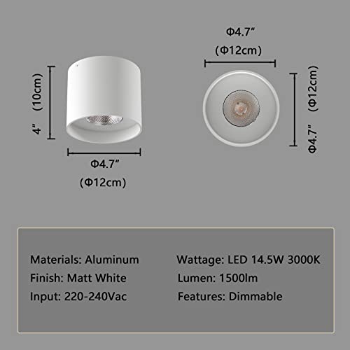 Ceiling Light Fixture