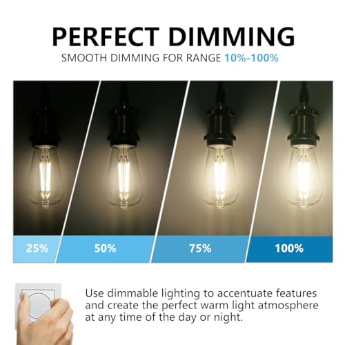 6 Pack Dimmable ST58 Vintage LED Edison Bulbs 6W Equivalent 60W (6 Count)