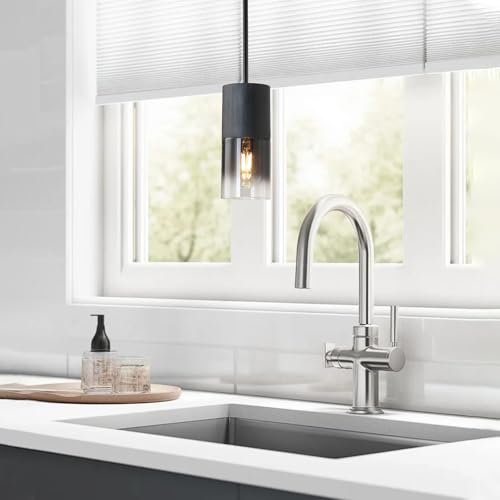 Pendant Light Fixtures (2 Count)