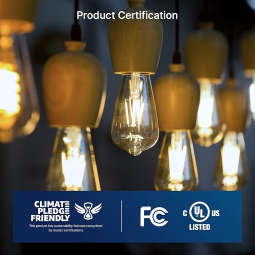 7W LED Edison Bulbs (6 Count)