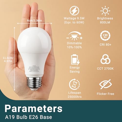 LED Light Bulbs (6 Count)