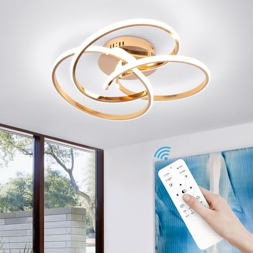 Modern LED Ceiling Light Fixture