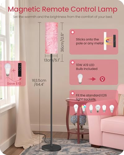 Dimmable Floor Lamps for Living Room with Remote and Foot Switch