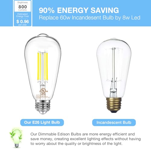 12 Pack Vintage LED Edison Bulbs (12 Count)