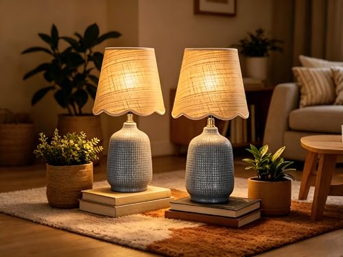 Set of 2 19" Modern Ceramic Table Lamp for Living Room Gray Blue Base Desk Lamps for Bedroom Farmhouse Bedside Nightstand Lamp End Table Lamps (2 Count)