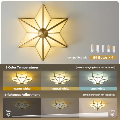 Star Brass Vintage Ceiling Light