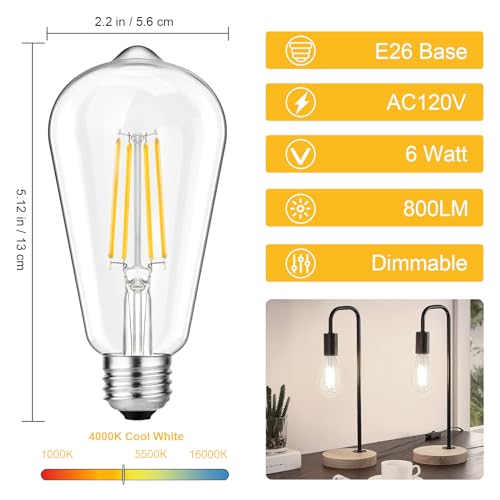 Vintage LED Edison Light Bulb 60W Equivalent (12 Count)