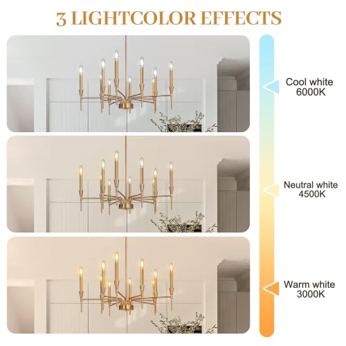 Gold Modern Small Chandelier 10 Light Dining Room Farmhouse Light Fixture