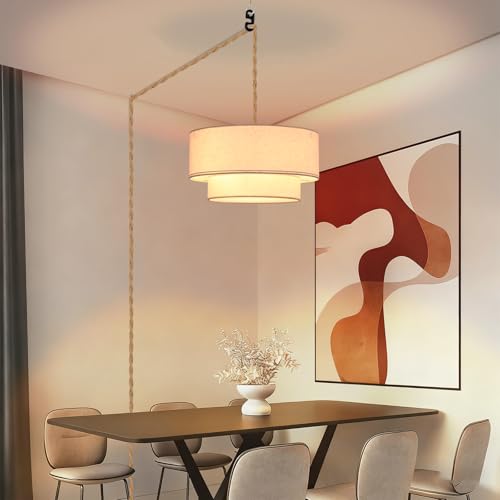 Plug in Pendant Light