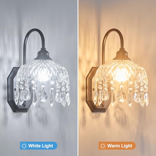 1 Pack Vintage Wall Sconce