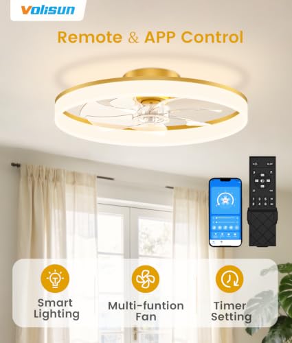 Low Profile Ceiling Fans with Lights and Remote