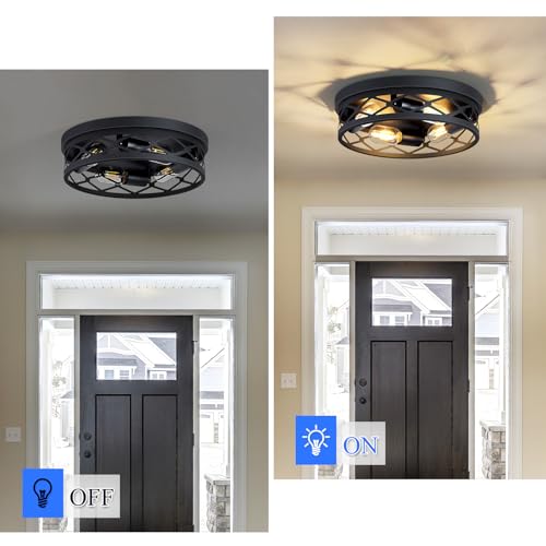 Flush Mount Ceiling Light Fixture (2 Count)