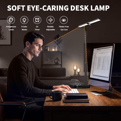 LED Desk Lamp