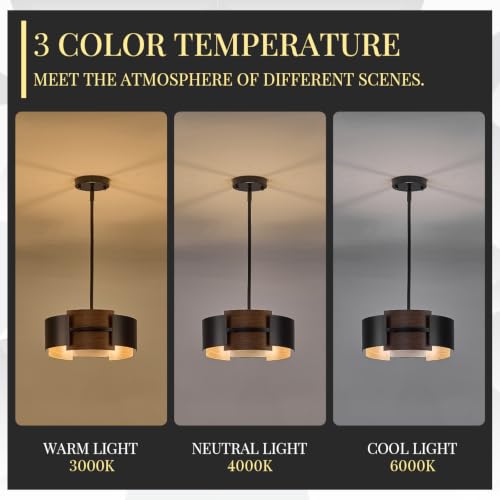 12" 4 Light Industrial Drum Chandelier with Red Walnut Grain