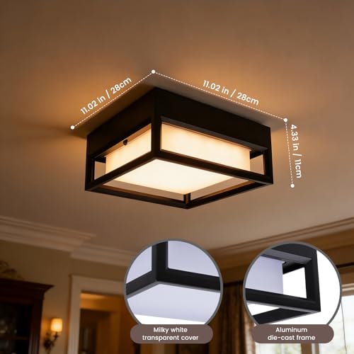 11inch Out Indoor Flush Mount Ceiling Light