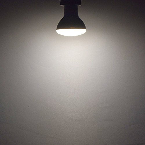 BR20 LED Light Bulb