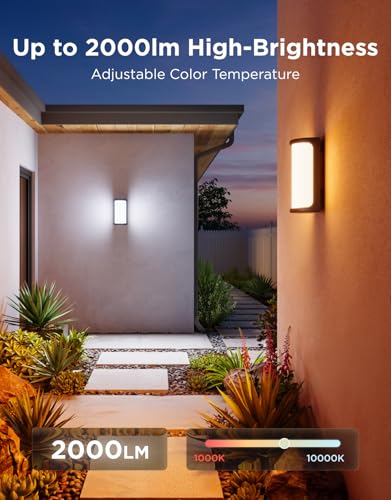 Outdoor Wall Light Pro (2 Count)