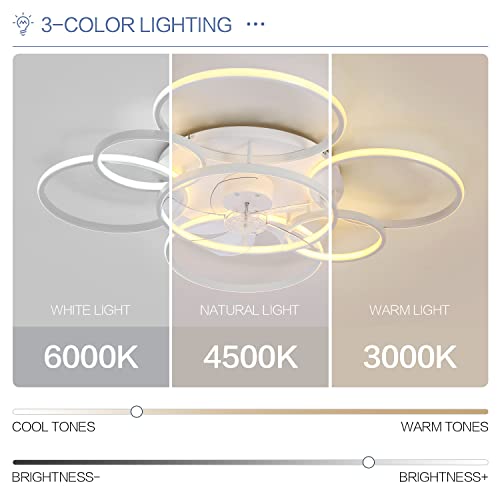 41" Ceiling Fans with Lights