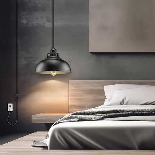 Plug in Pendant Light