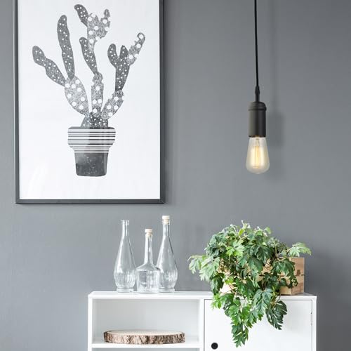 64906 1 Light Pendant
